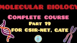 TRANSLATION IN EUKARYOTES  | CSIR NET | GATE | IIT JAM | DBT | NEET | ICMR | MSC | B.SC