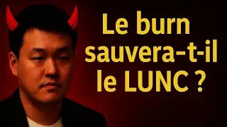 Terra Luna Classic (LUNC) 🔥 Le Burn Peut-Il Faire Exploser le Cours à Long-Terme ?