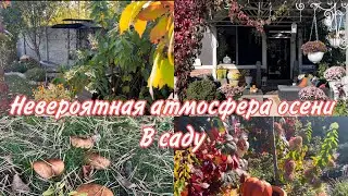 Сад в конце сентября🍂, работы в саду . 🍂 🍁🍂
