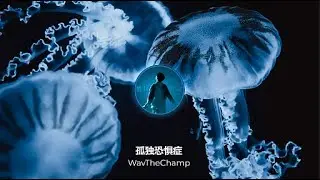 孤独恐惧症 ---- WavTheChamp