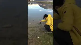 Şəkil çəkmə ideası SHORTS