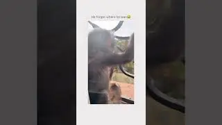 Как она испугалась 🤣