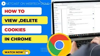 How to View Cookies in Chrome | How to View and Delete Cookies in Chrome?