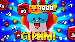 МАКС НА 30 РАНГ В СОЛО ШД! 1050+