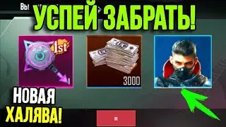 НОВАЯ ХАЛЯВА В ПУБГ МОБАЙЛ!!! БЕСПЛАТНЫЕ UC ТОЛЬКО СЕГОДНЯ!!! ЧТО ДЕЛАТЬ, КАК ЖЕ БЫТЬ??? PUBG Mobile