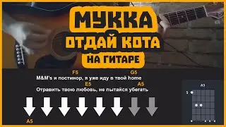 Мукка - Отдай кота | разбор на гитаре | аккорды и бой