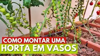 TUDO O QUE VOCÊ PRECISA SABER PARA MONTAR SUA HORTA EM VASOS E CULTIVAR HORTALIÇAS!