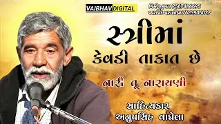 સ્ત્રીમાં કેવડી તાકાત છે || સાહિત્યકાર - અનુપસિંહ વાઘેલા @VaibhavDigital