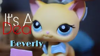 Lps Series  Its A Deal  (episode 6, Beverly)