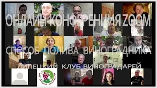 Способ полива виноградного куста.  Онлайн конференция ZOOM