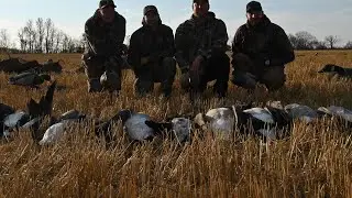 Field Goose Hunting 2022, Layout Blinds, 17 birds down.