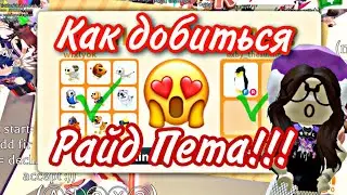 Как добиться любого райд Пета? Самый простой способ💝