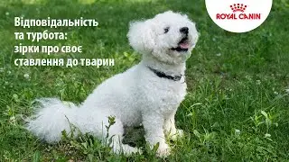 Лідія Таран: «Собака сам обирає, коли йому йти гуляти»
