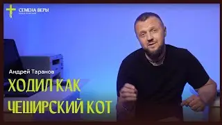 Ходил как чеширский кот | история жизни | Андрей Таранов