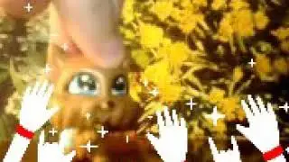 Lps розигрыш ( чит опис)