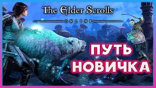 The Elder Scrolls online - Впервые играю в TESO