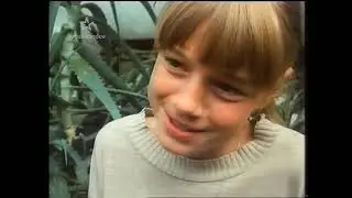 Skleněny Dům 1981