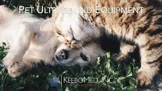 Pet Ultrasound Equipment Collection | KeeboVet