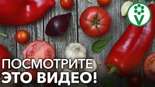 НЕ ПОТЕРЯЙТЕ НАС! ССЫЛКИ НА НАШИ РЕЗЕРВНЫЕ КАНАЛЫ