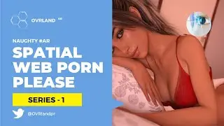 Pornography on the Spatial Web. Floating Pussy Protests. Massive Dick Experience. [1]
