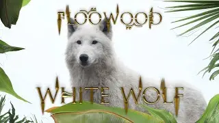 Floowood - White Wolf (Official Music Video)