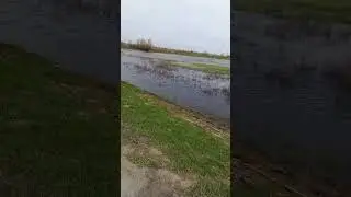 на пробежке 9 мая 2024 г.