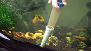 чистка большого аквариума для рыбок / Cleaning a large fish tank