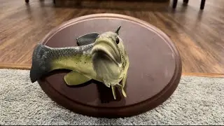 Boogie bass (second one)￼
