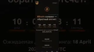 Халвинг в сети Биткоин состоится 20 апреля 2024 года