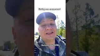 🤔 ШОЙГУ КАК СВИДЕТЕЛЬ? #волхонскийлайв #шойгу #кузнецов