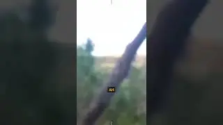 What would you do differently in this situation?