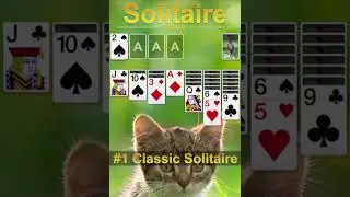 solitaire Trailer D