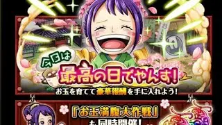 OPTC O-Tama Rank vs Zorotaro & Shirahoshi Mansherry +80M Damage