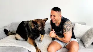 I Pretended My Dog Bit Me... Her Reaction Melted My Heart 🥺❤️