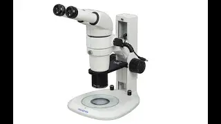 MSHOT stereo microscope for fry screening