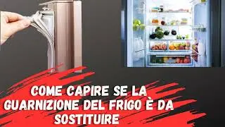 How to understand if the fridge seal needs replacing