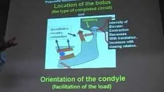 Masticatory functional intensity