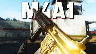 King Of M4A1 Best Plays With M4