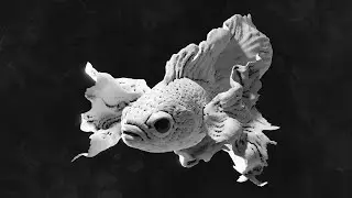 Blender Sculpting Timelapse - Siamese Fighting Fish