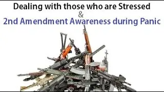 Dealing with people who are Stressed & Second Amendment Awareness during Panic