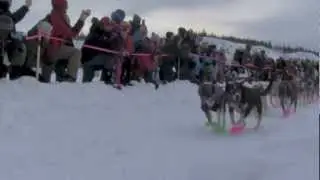 Yukon Quest 2013 Start-Markus Ingebretsen