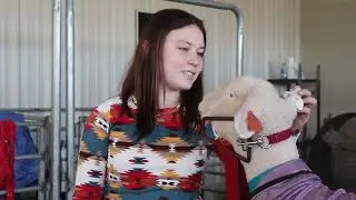 Agriculture CTE Video 2024