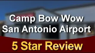 Camp Bow Wow San Antonio Airport San AntonioIncredible5 Star Review by Jasmine F.