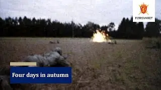 Four days in autumn