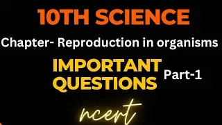 Biology Important Questions #Chapter-Reproduction in organisms #10thBoards2025🎯🤝
