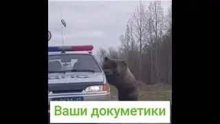 Предъявите ваши документы😆.