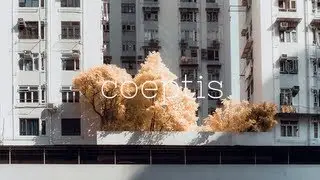 Semi Precious - Light Cleaning