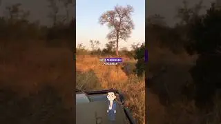 bukan hanya larinya saja ternyata... 