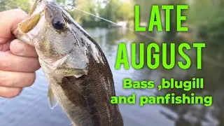 BASS BLUGILL PANFISHING AUGUST!!