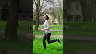 Das ist ein wichtiger Punkt im Hundetraining